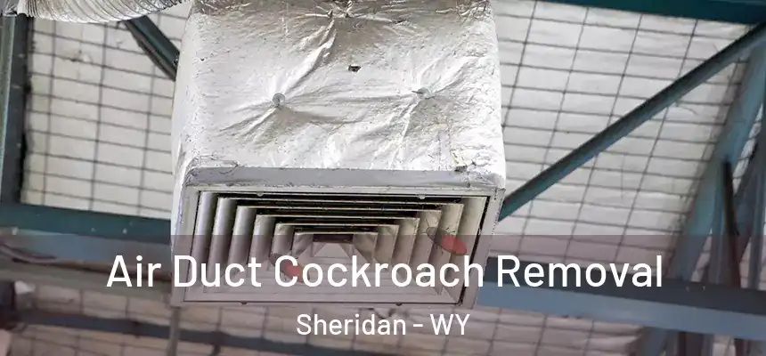  Air Duct Cockroach Removal Sheridan - WY