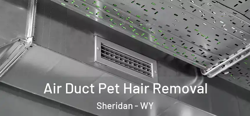  Air Duct Pet Hair Removal Sheridan - WY