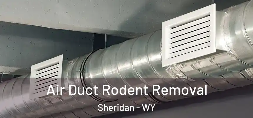  Air Duct Rodent Removal Sheridan - WY