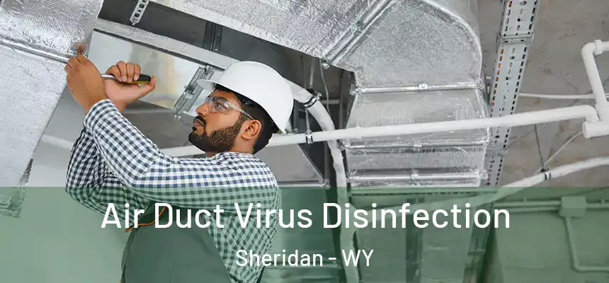  Air Duct Virus Disinfection Sheridan - WY
