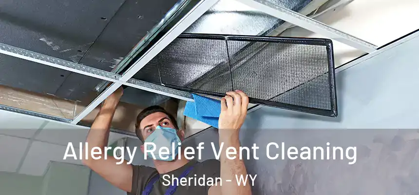 Allergy Relief Vent Cleaning Sheridan - WY