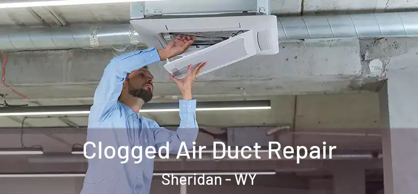  Clogged Air Duct Repair Sheridan - WY