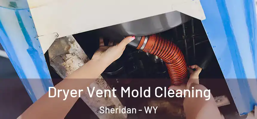  Dryer Vent Mold Cleaning Sheridan - WY
