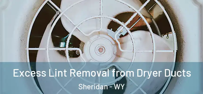  Excess Lint Removal from Dryer Ducts Sheridan - WY