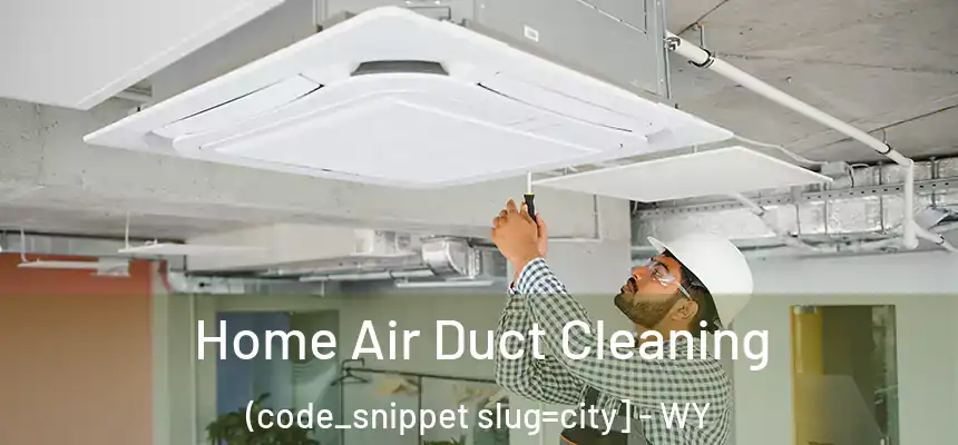  Home Air Duct Cleaning (code_snippet slug=city] - WY