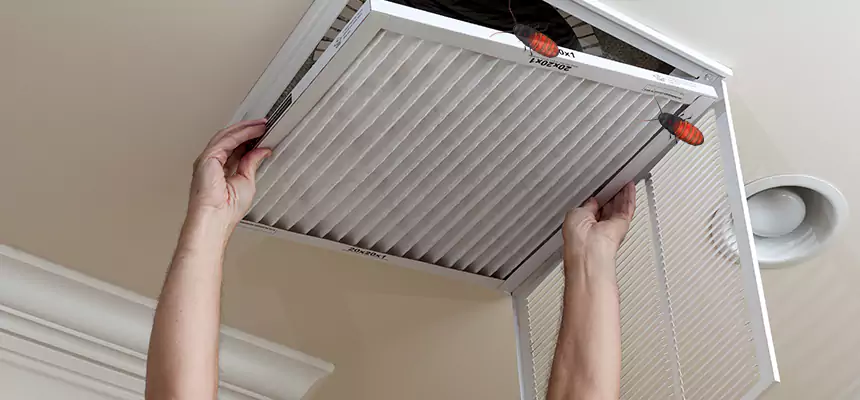 Preventive Cockroach-Proofing for Ducts in Sheridan