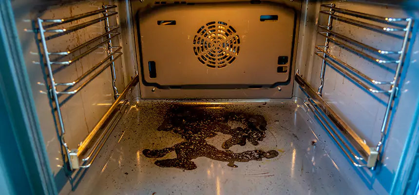 Our Dryer Vent Mold Cleaning Services in Sheridan, WY