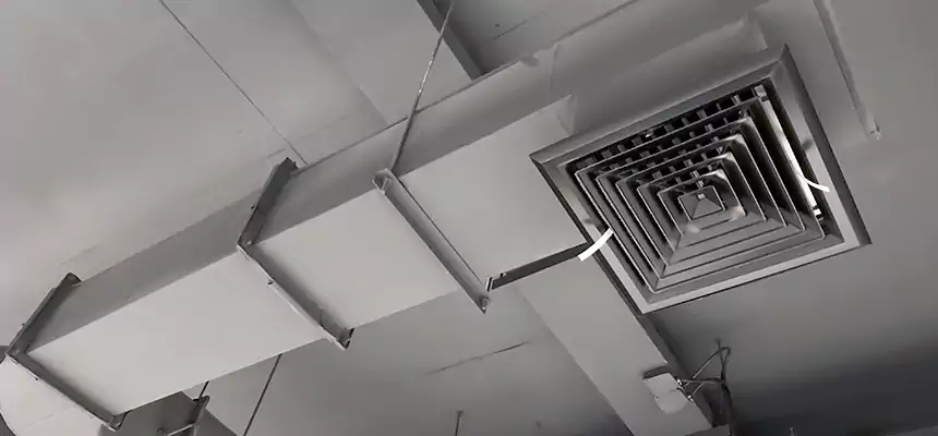 Our Pest Removal From Ducts Services in Sheridan, WY