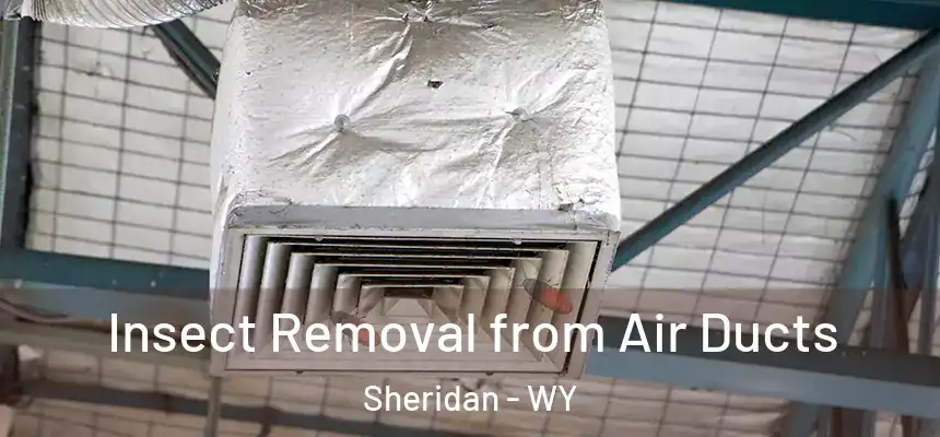  Insect Removal from Air Ducts Sheridan - WY