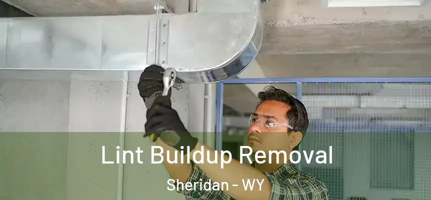  Lint Buildup Removal Sheridan - WY