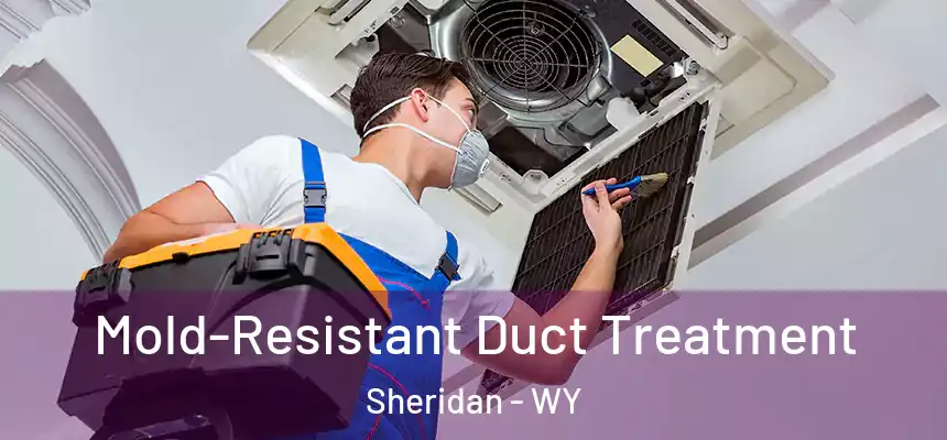  Mold-Resistant Duct Treatment Sheridan - WY