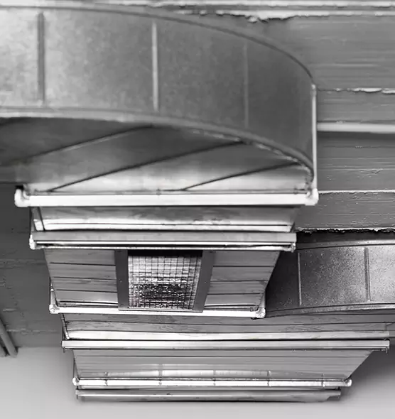 Professional Air Duct Pet Hair Removal in Sheridan, WY